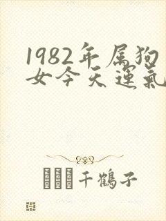 1982年属狗女今天运气怎么样