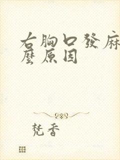 右胸口发麻是什么原因