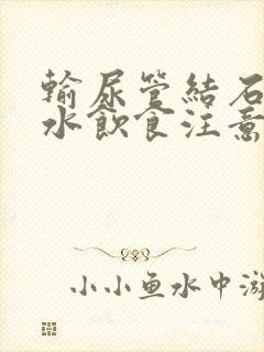 输尿管结石肾积水饮食注意事项