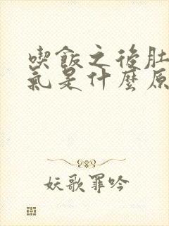 吃饭之后肚子胀气是什么原因