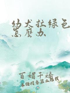 幼犬拉绿色便便怎么办