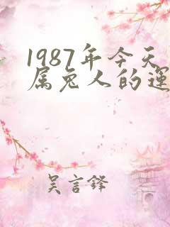 1987年今天属兔人的运气