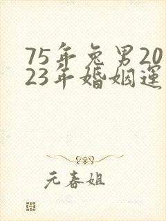 75年兔男2023年婚姻运势