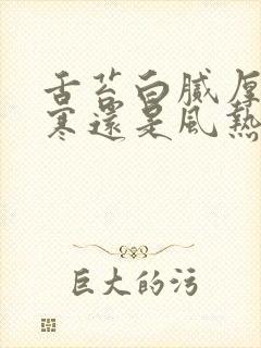 舌苔白腻厚是风寒还是风热