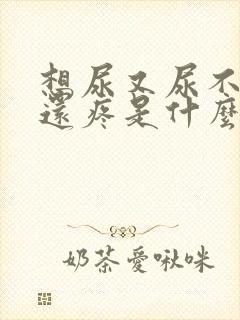 想尿又尿不出来还疼是什么原因