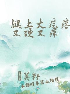 腿上大疙瘩又红又硬又痒