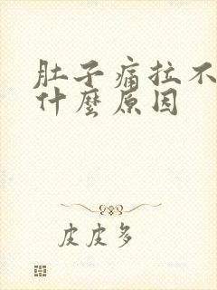 肚子痛拉不出尿什么原因