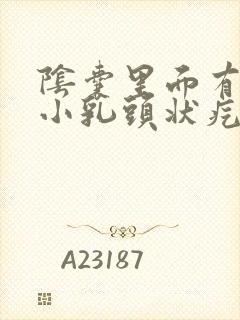 阴囊里面有一个小乳头状疙瘩