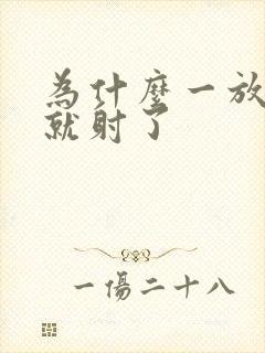 为什么一放进去就射了