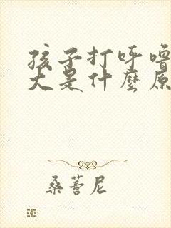 孩子打呼噜声音大是什么原因