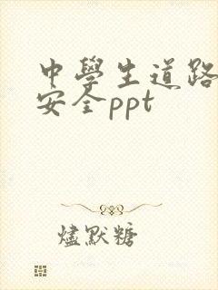 中学生道路交通安全ppt