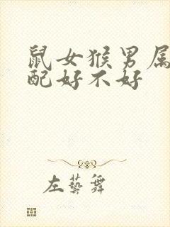 鼠女猴男属相婚配好不好