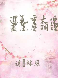 湿气重大便排不尽怎么调理