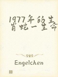 1977年的生肖蛇一生命运如何