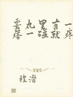 睾丸里有一个疙瘩一碰就疼痛难忍