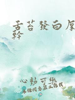 舌苔发白厚腻口干