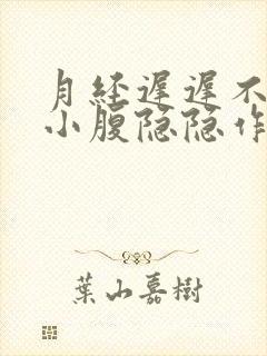 月经迟迟不来,小腹隐隐作痛还有出血