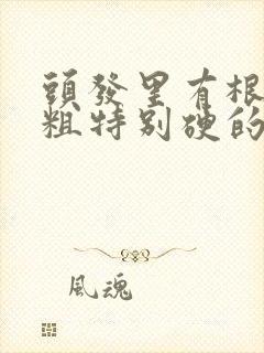 头发里有根特别粗特别硬的头发