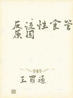 反流性食管胃炎原因