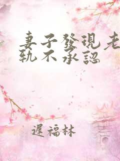 妻子发现老公出轨不承认