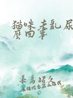 猫咪老乱尿是怎么回事