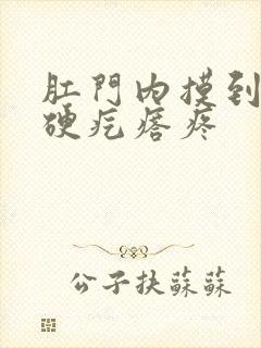 肛门内摸到一个硬疙瘩疼