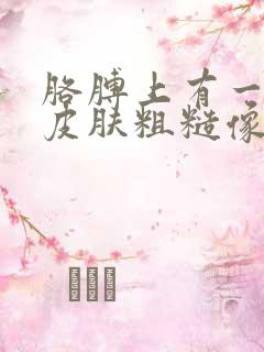 胳膊上有一小块皮肤粗糙像癣一样