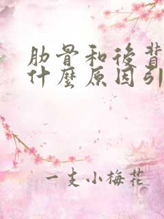 肋骨和后背疼是什么原因引起的