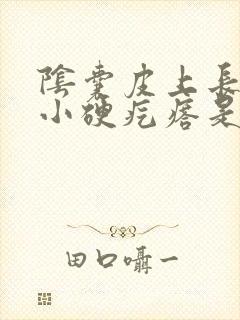 阴囊皮上长了个小硬疙瘩是怎么回事