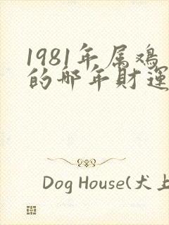 1981年属鸡的哪年财运好