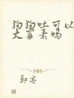 狗狗吐可以用庆大霉素吗