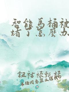 智能马桶被大便堵了怎么办