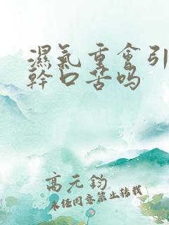 湿气重会引起口干口苦吗