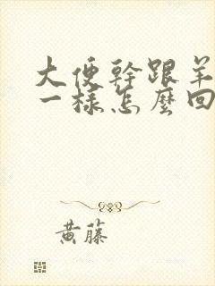 大便干跟羊屎蛋一样怎么回事