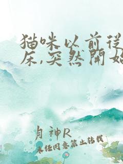 猫咪以前从不尿床,突然开始尿床