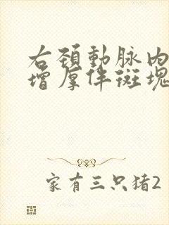 右颈动脉内中膜增厚伴斑块