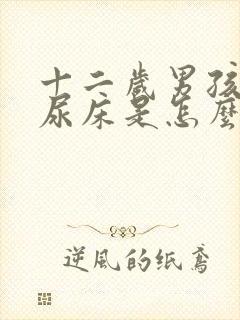 十二岁男孩半夜尿床是怎么回事