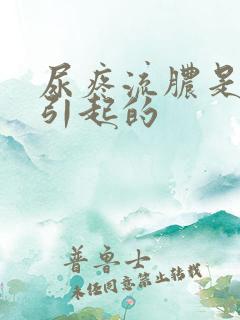 尿疼流脓是什么引起的