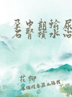 孕中期输尿管结石肾积水治疗