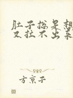 肚子总是想拉屎又拉不出来怎么办