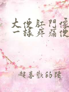 大便肛门像裂开一样疼痛便血