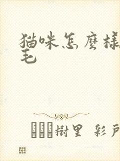 猫咪怎么样不掉毛