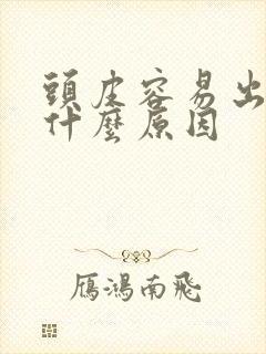 头皮容易出油是什么原因