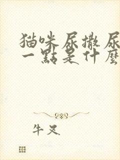 猫咪尿撒尿只撒一点是什么情况