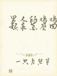 男人的鸡鸡硬不起来怎么回事