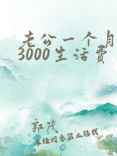老公一个月只给3000生活费