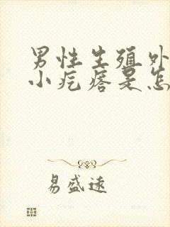 男性生殖外皮有小疙瘩是怎么回事呢