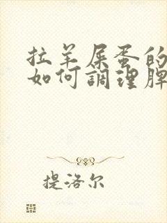 拉羊屎蛋的小孩如何调理脾胃