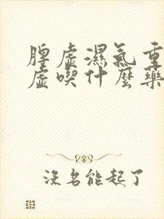 脾虚湿气重肾气虚吃什么药