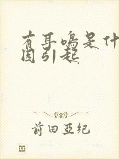 有耳鸣是什么原因引起